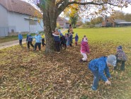 Starý medvěd vzdychá