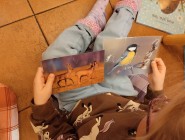 Návštěva knihovny