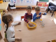 Hlava, ramena, kolena