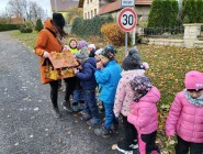 Lampionky kam se podíváš...