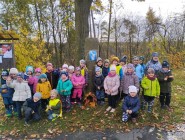 Lampionky kam se podíváš...