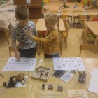 V zimě za zvířátky