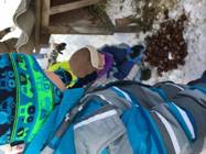 Navštívení krmelce v zimě