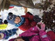 Navštívení krmelce v zimě