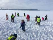 Navštívení krmelce v zimě